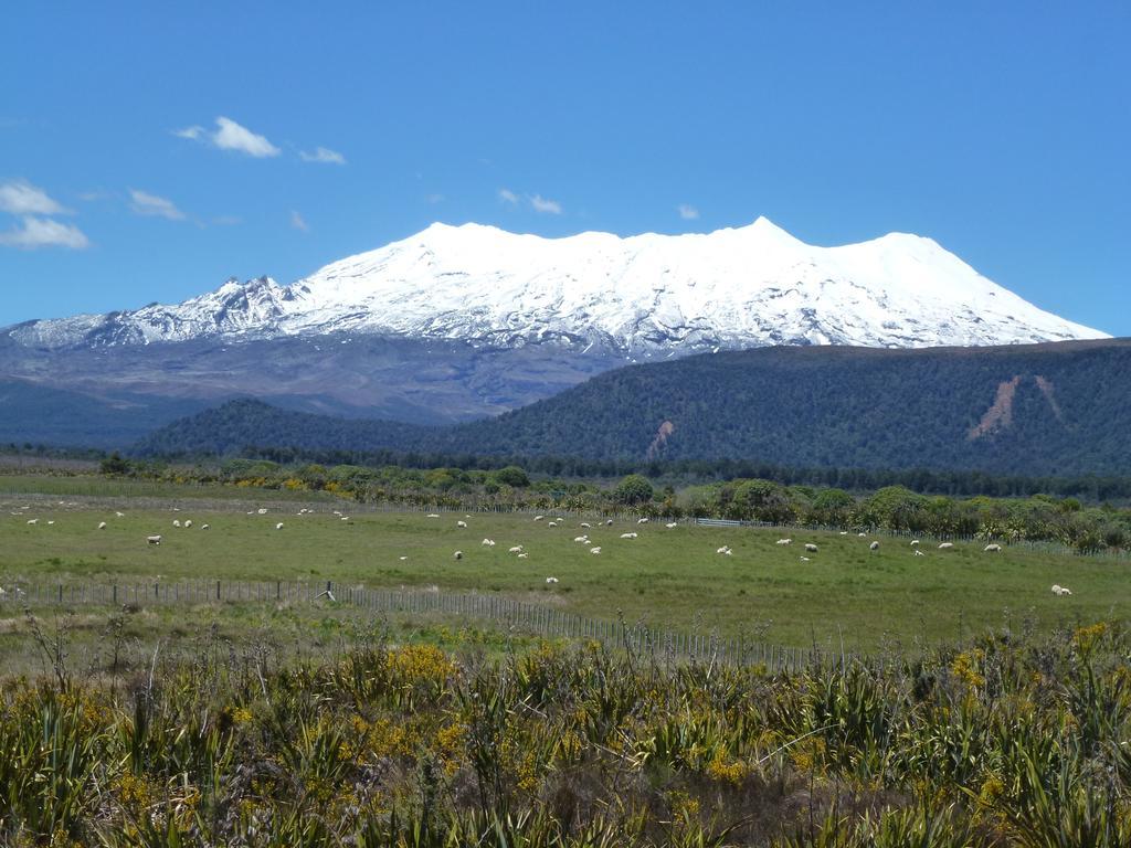 Manowhenua Lodge National Park Buitenkant foto